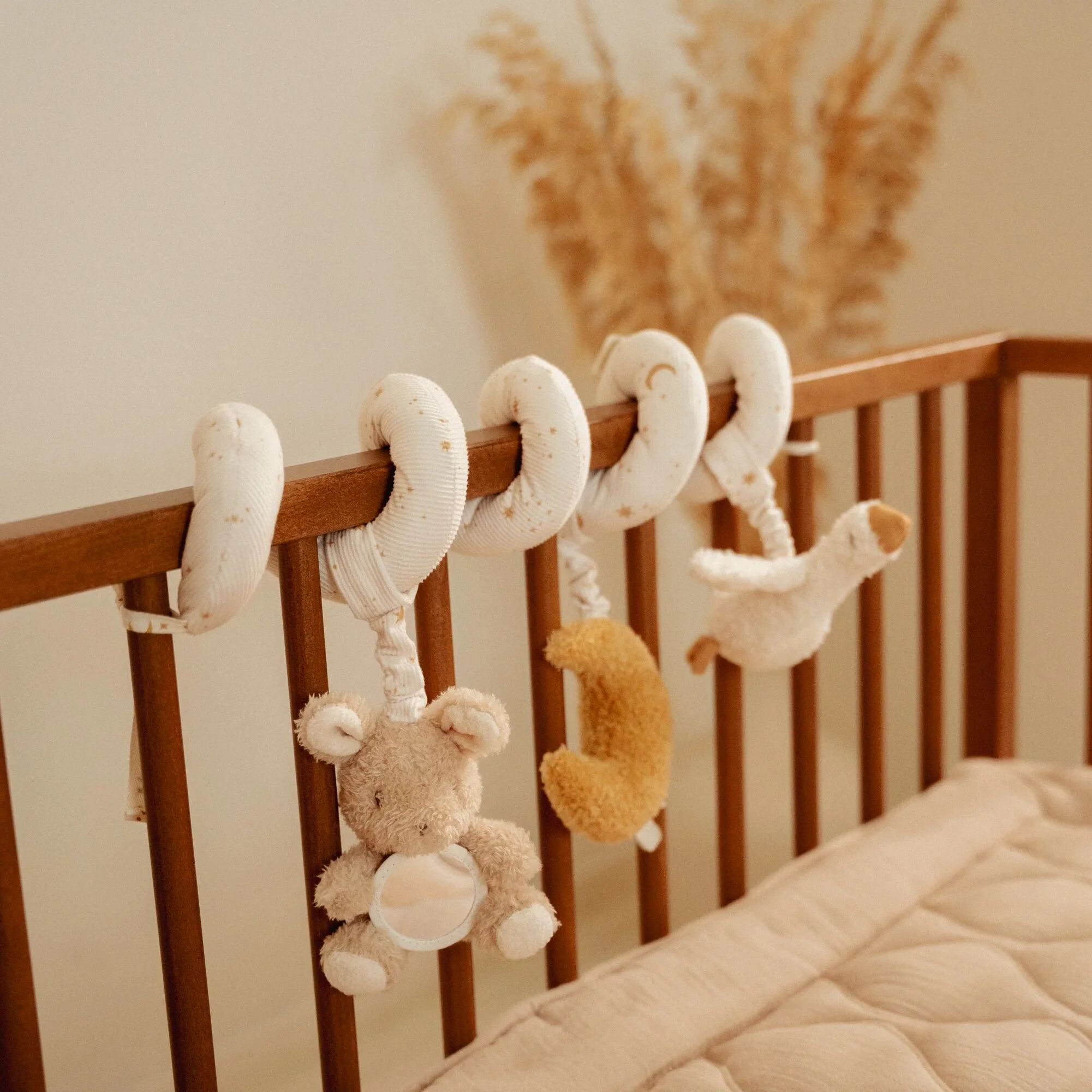 Activity Spiral - Image 2