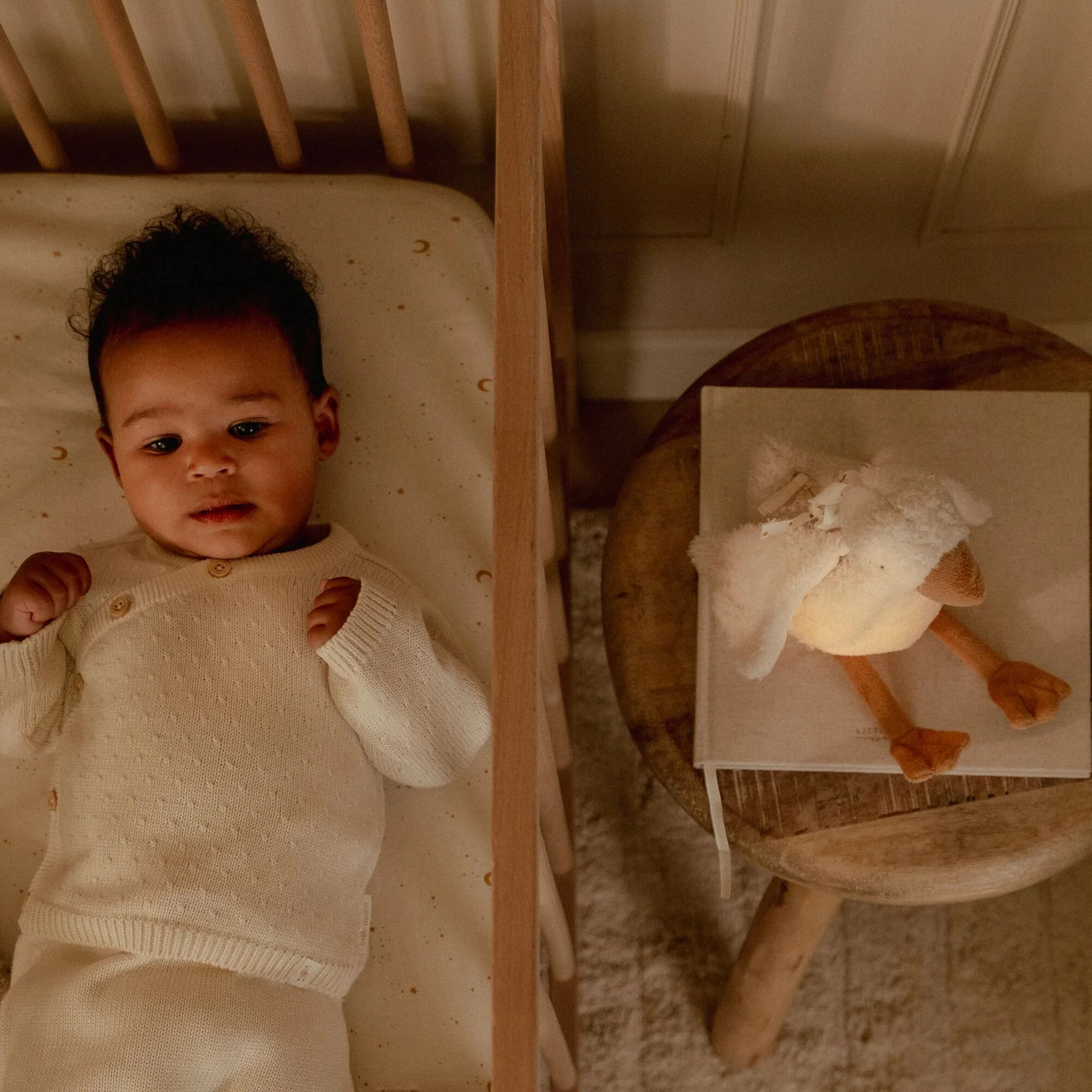 Cuddle Goose Light & Sound - Image 6